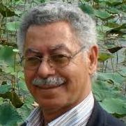 Prof. Fekri Hassan